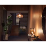 PHILIPS 8719514329881 | PHILIPS-hue-LV-Accessories Philips