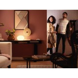 PHILIPS 8719514329881 | PHILIPS-hue-LV-Accessories Philips